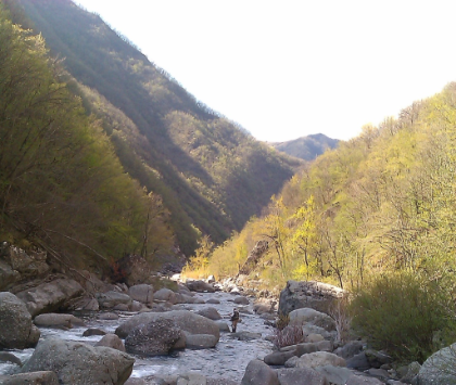 FORNITURA TROTE FARIO PER RISERVA DI PESCA REGOLAMENTATA SUL TORRENTE AVETO - ANNO 2026